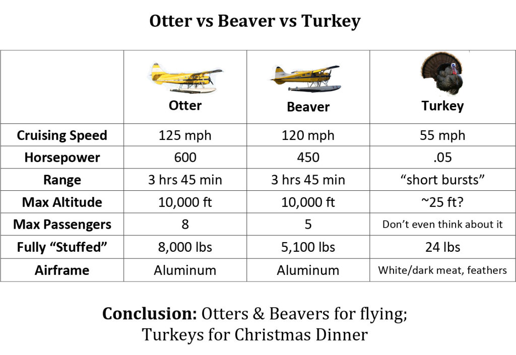 Otter-vs-Beaver-vs-Turkey